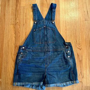 Old Navy Overall Shorts Size 2X